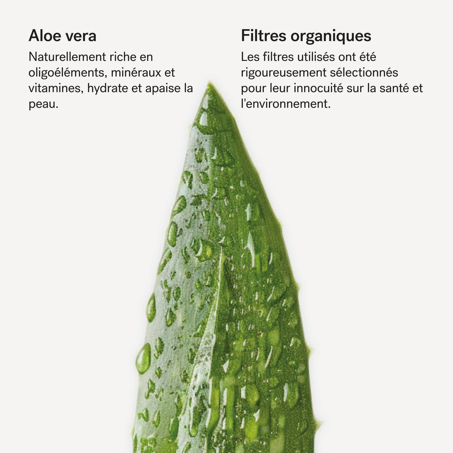 Crème solaire corps SPF 50 à l'aloe vera L92