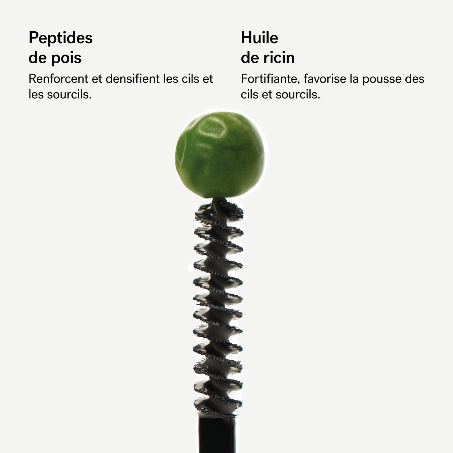 Sérum Densifiant Cils et Sourcils L37
Peptides de pois 2% + Huile de ricin
