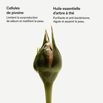 Assemblage Botanique Purifiant P61
Cellules de pivoine