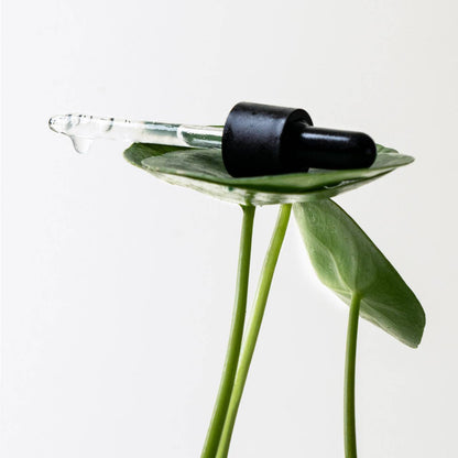 Sérum Anti-Marques L64
PHA 14% + Centella asiatica