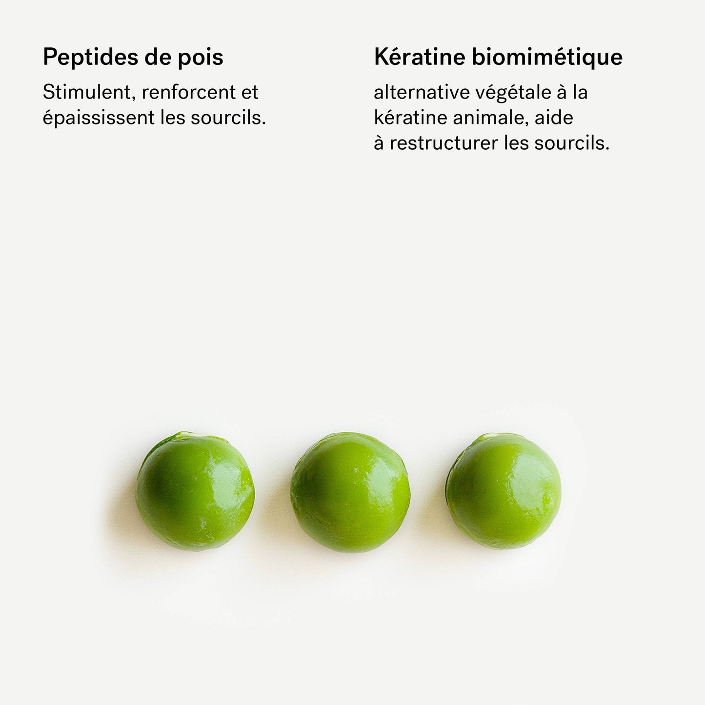 Gel Fortifiant Sourcils T51
Peptides de pois + Kératine végétale