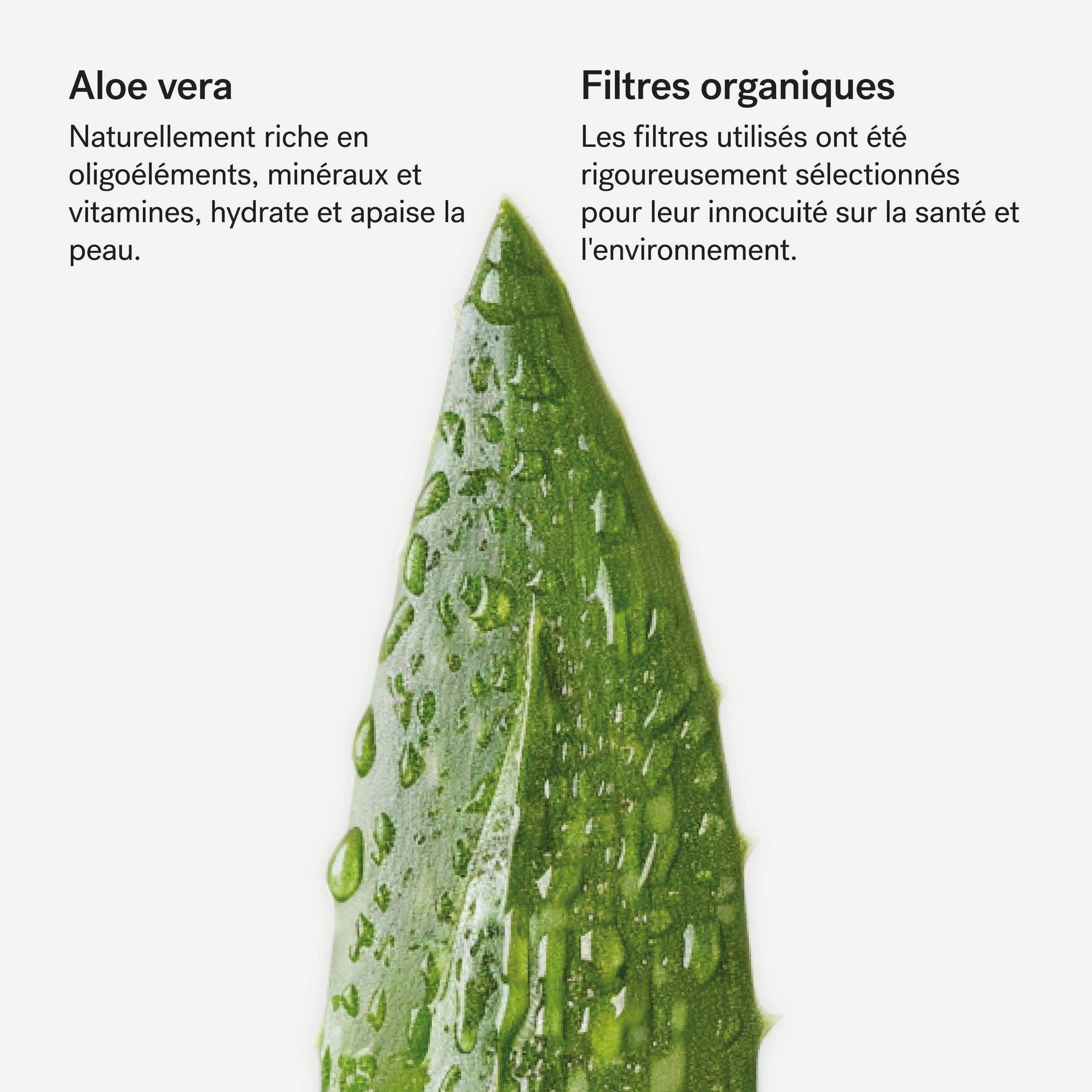 Crème solaire corps SPF 50 à l'aloe vera L92