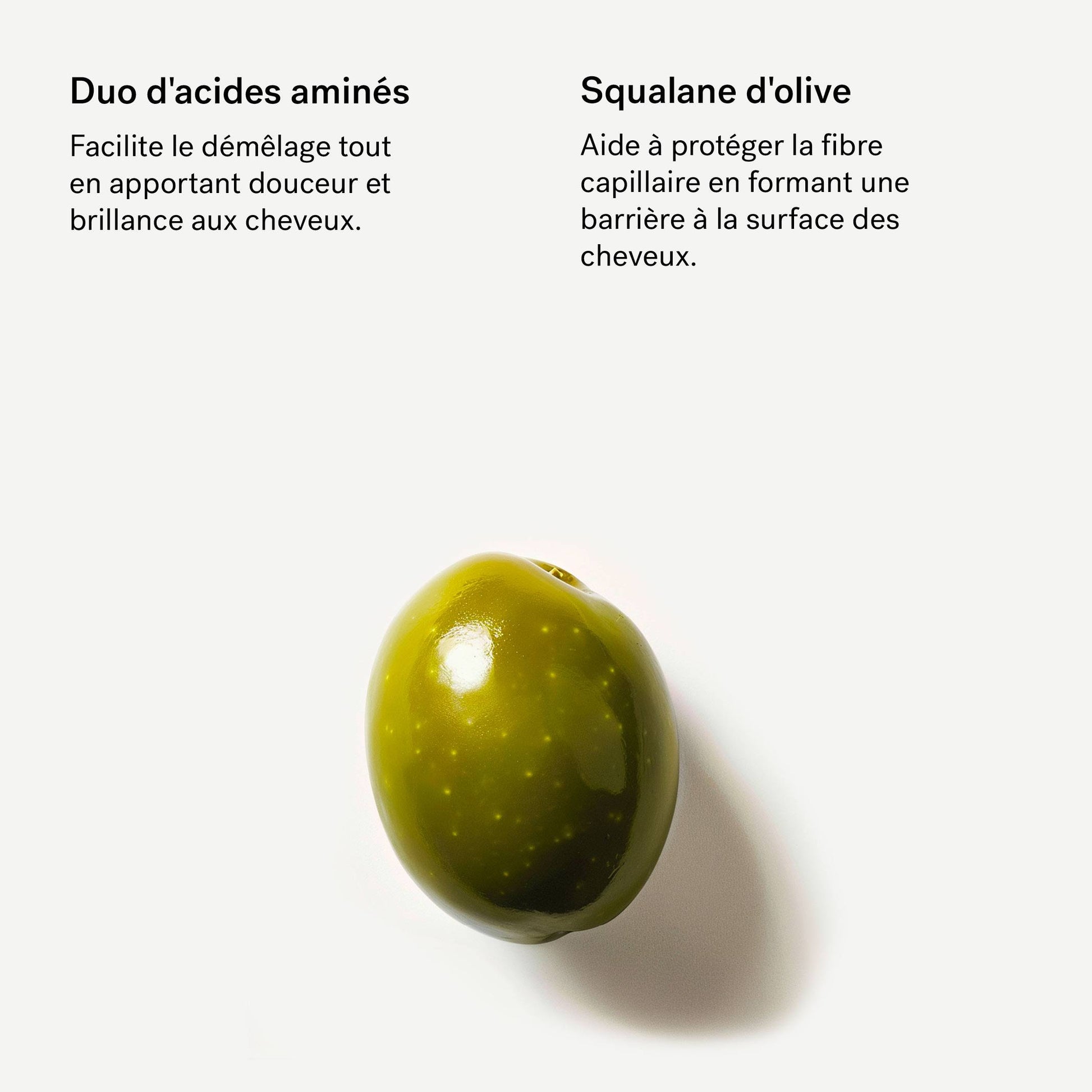 Après-Shampoing Fortifiant R20
Acides aminés 1% + Squalane
